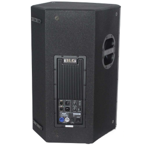 רמקול מוגבר BLG BW15-15A45